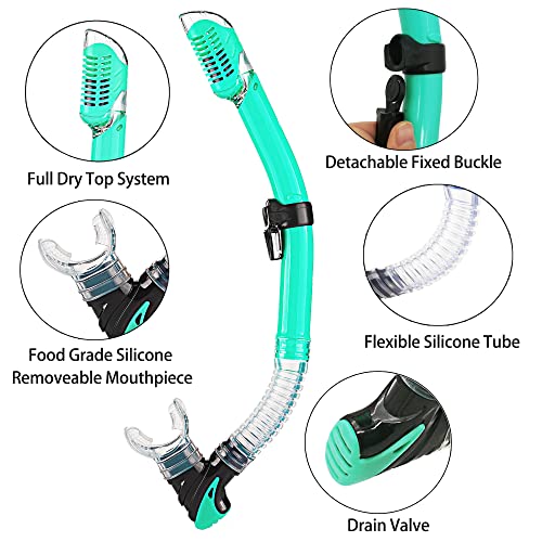 Adult Snorkeling Set with Fins