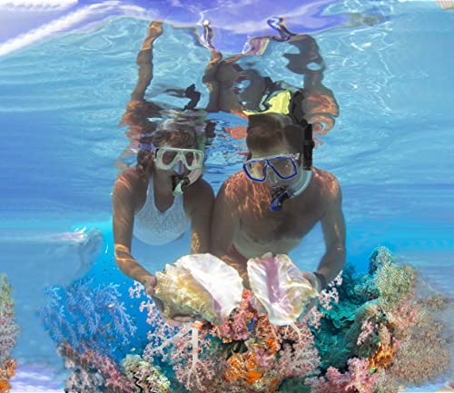 Adult Snorkeling Set with Fins