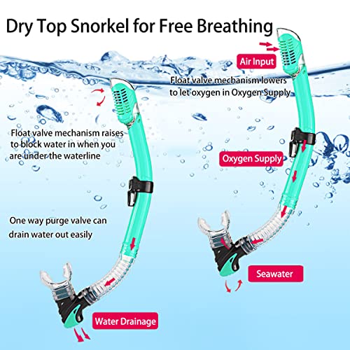 Adult Snorkeling Set with Fins