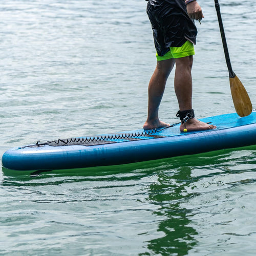 10' Coiled SUP Leash