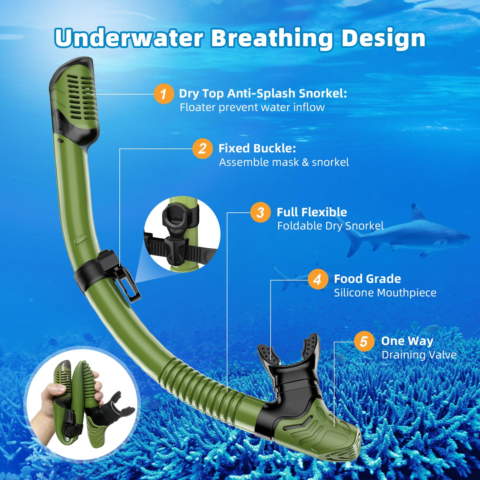 Adult Dry Top Snorkel Set